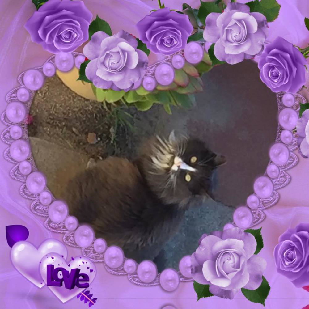 Meet your Posher, Teresa